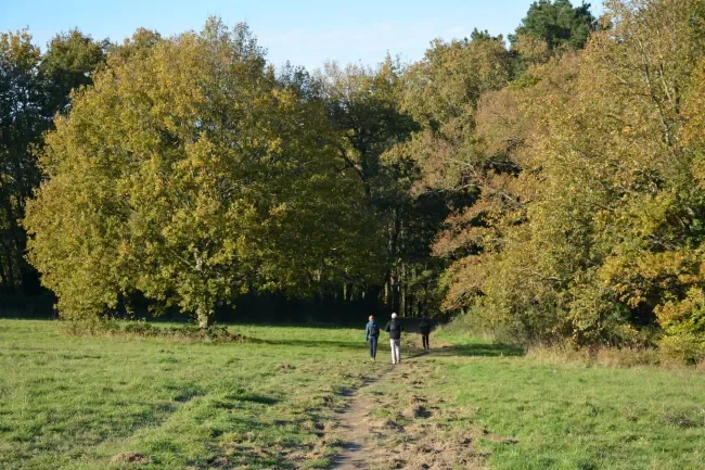 Habiter à Nantes - Témoignage