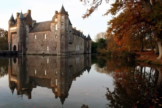 Forêt de Brocéliande