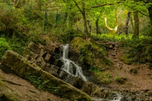 Forêt de Brocéliande