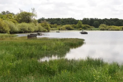 Lac de Grand-Lieu